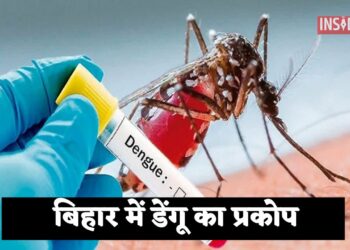 बिहार में डेंगू का प्रकोप